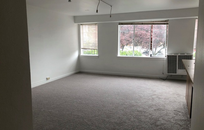Studio, 1 bath, 420 sqft, $1,350, Unit Unit 206