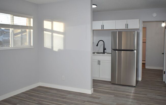 1 bed, 1 bath, 700 sqft, $1,195, Unit 450-13