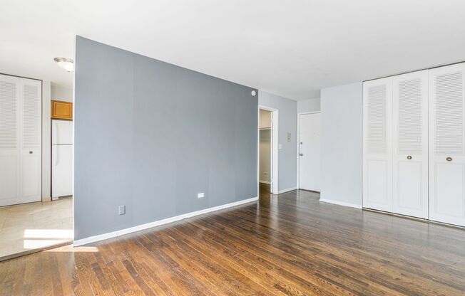 Studio, 1 bath, 387 sqft, $1,450, Unit 509