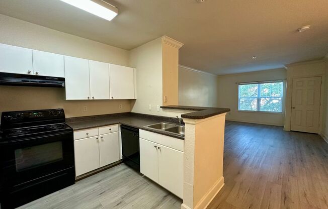 Chic 1-Bed, 1-Bath Apartment in the Heart of Downtown Orlando