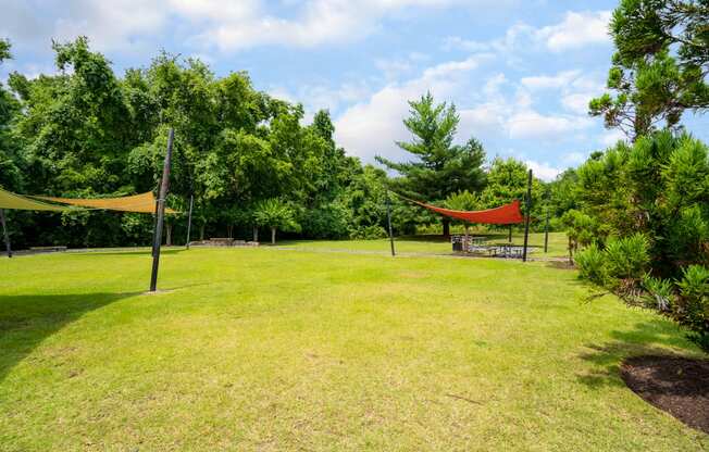 Lush Outdoor Green Space