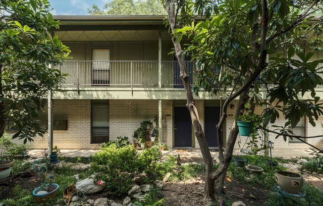 Great South Austin Location - One Bedroom