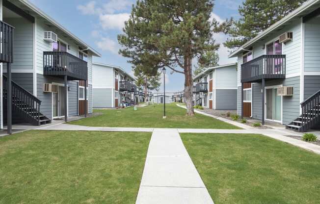 our apartments have a spacious courtyard with grass and trees