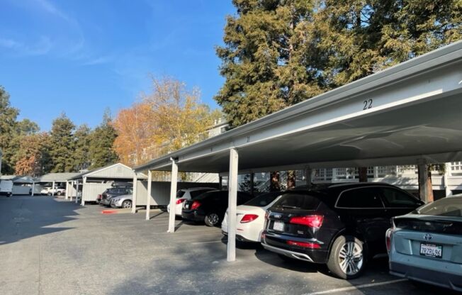 Wonderful lower level Condo with Laminate Plank flooring!