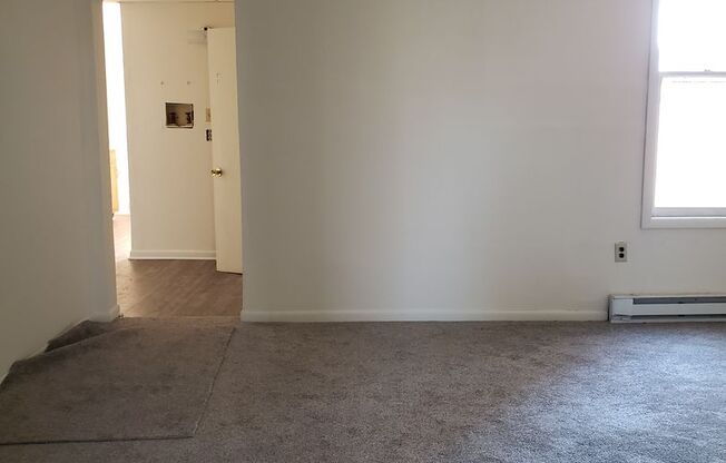 1 bed, 1 bath, $800, Unit Apt. 1