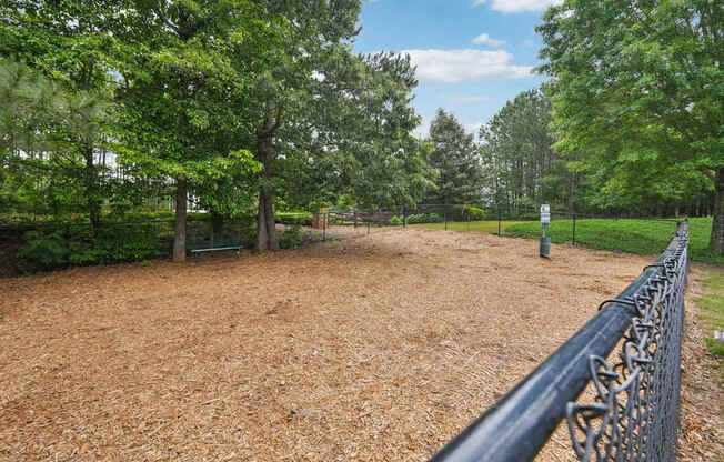 Pet friendly - Dog park
