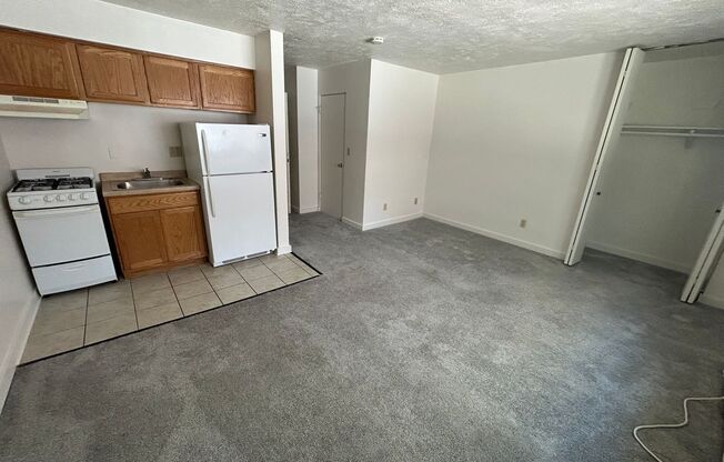Studio, 1 bath, $795, Unit 217