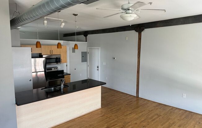 1 bed, 1 bath, 667 sqft, $995, Unit 1