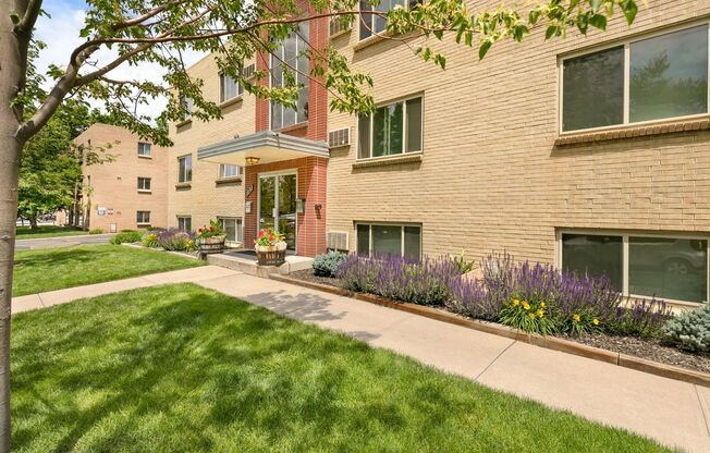 Studio, 1 bath, 450 sqft, $1,145
