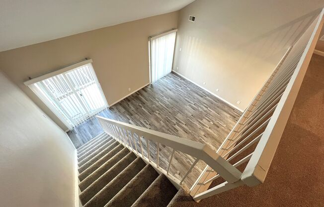 Gallery Photo 29