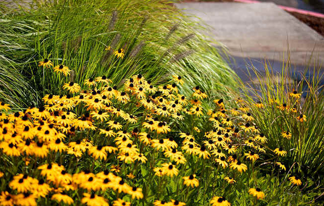 OR_HappyValley_TheElwood_Neighborhood3