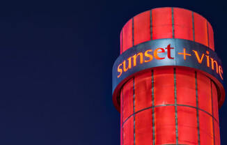 sunset + vine