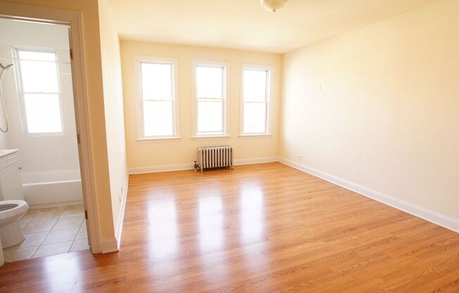 Studio, 1 bath, 347 sqft, $1,250, Unit 405