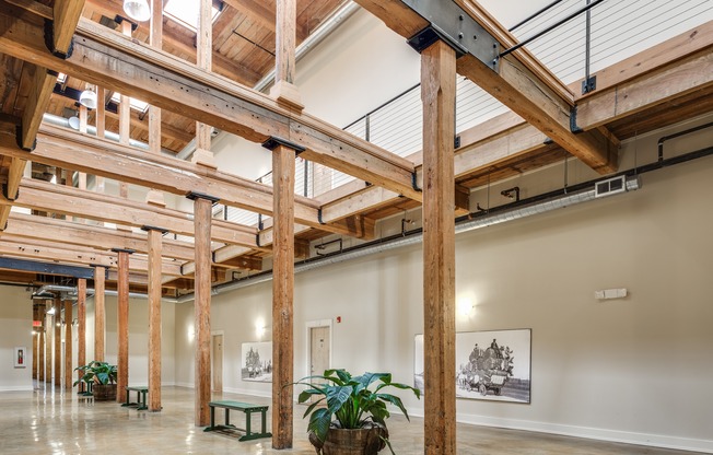 View of Hallway, Showing Wood Beams in Structure, Benches, and Plants at Alpha Mill Apartments