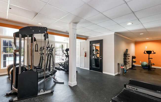 A gym with a treadmill, weights, and exercise equipment.