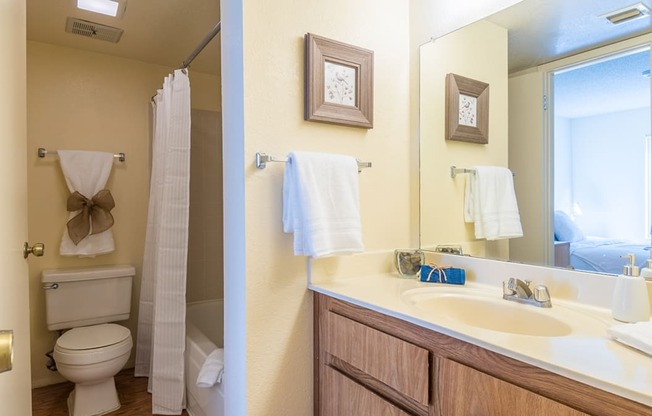 Sycamore Creek Large Bathrooms with Shower Tub combo