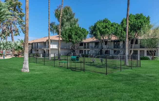 our apartments have a fenced in yard with grass and palm trees