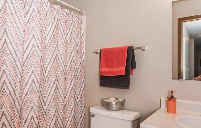 Grand Forks, ND Library Lane Apartments a bathroom with a white sink and toilet next to a shower with a red and gray che