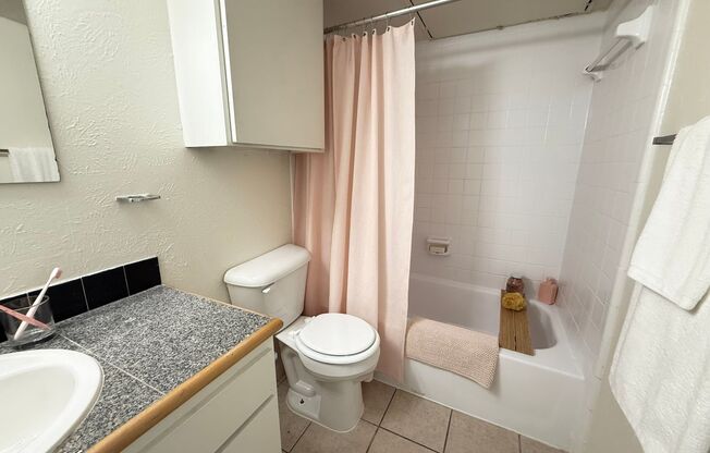 1 bed, 1 bath, 570 sqft, $1,249, Unit OPA-151