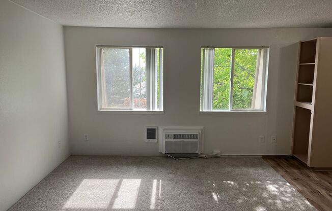 Studio, 1 bath, 476 sqft, $950, Unit 21