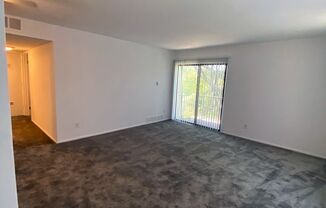 1 bed, 1 bath, $1,250