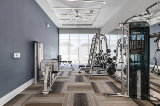 a gym with weights machines and a window