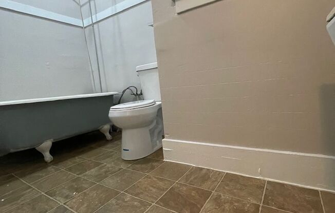 Studio, 1 bath, 500 sqft, $1,249, Unit 304