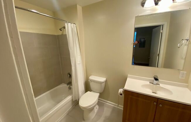 Studio, 1 bath, 617 sqft, $1,050, Unit 409 Unit 303