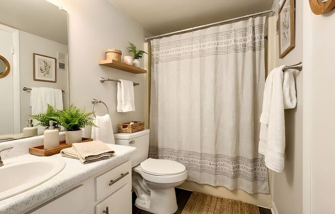 1 bed, 1 bath, 643 sqft, $1,295