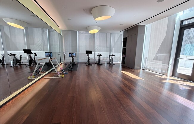 Studio, 1 bath, 480 sqft, $3,900, Unit 3105