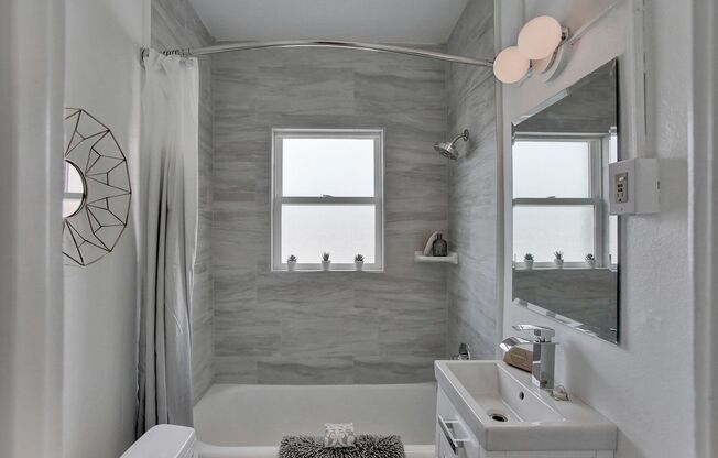 Studio, 1 bath, 235 sqft, $1,095, Unit 203