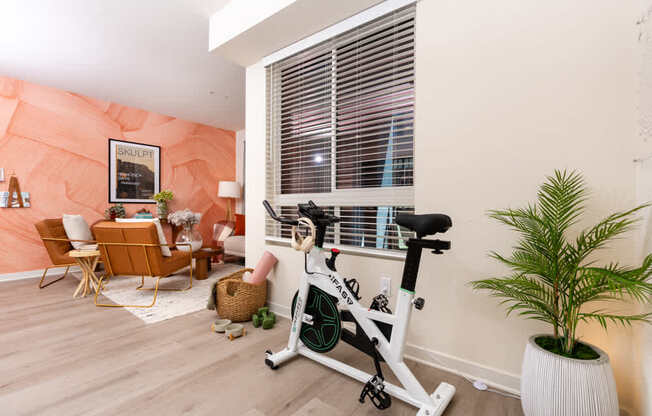A room with a stationary bike, a chair, a table, and a plant.