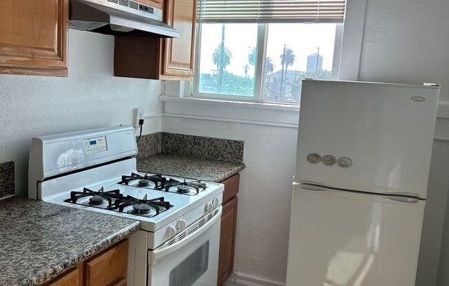 Studio, 1 bath, $1,595, Unit Unit 311