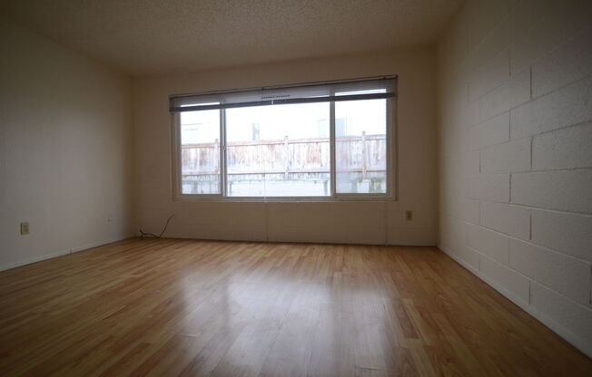 Studio, 1 bath, 250 sqft, $1,050, Unit 206