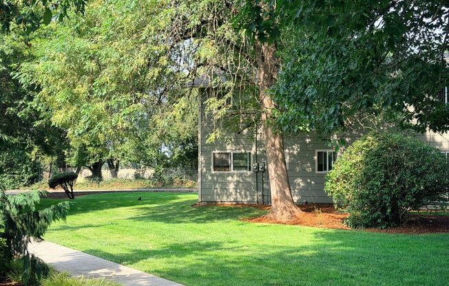 2 beds, 1 bath, 806 sqft, $1,449, Unit 6