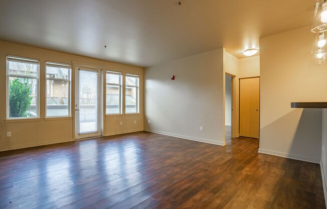 Saxe Apartments