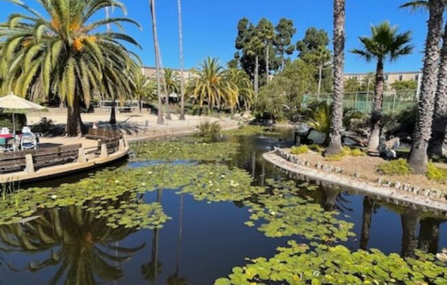 1 bed, 1 bath, $2,095, Unit Unit 437