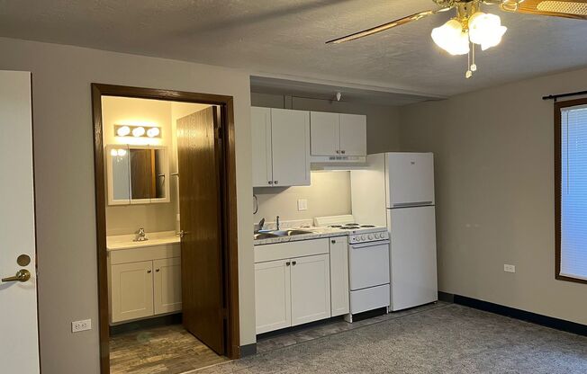 Studio, 1 bath, 263 sqft, $730, Unit 303