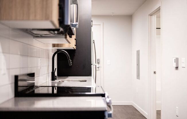 Studio, 1 bath, 350 sqft, $1,500, Unit 314