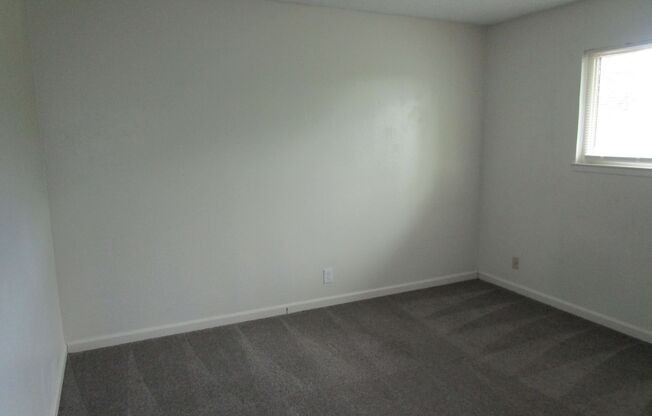 WEBSTER, 405