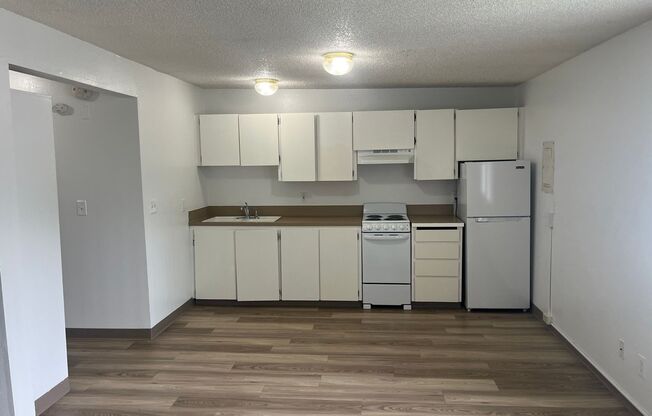 Studio, 1 bath, 476 sqft, $950, Unit 16