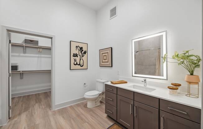 a bathroom with a mirror and a toilet and a sink