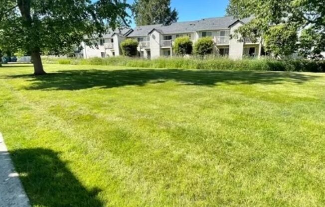 Great One-Bedroom in the Cordata Neighborhood