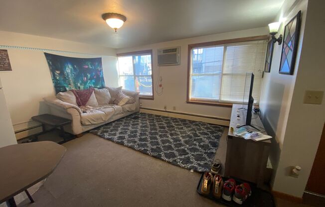 Studio, 1 bath, $1,145