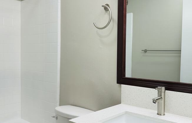 a bathroom with a toilet and a sink and a mirror