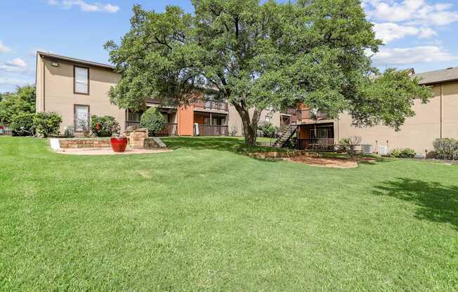 A tree in a yard in front of a building.