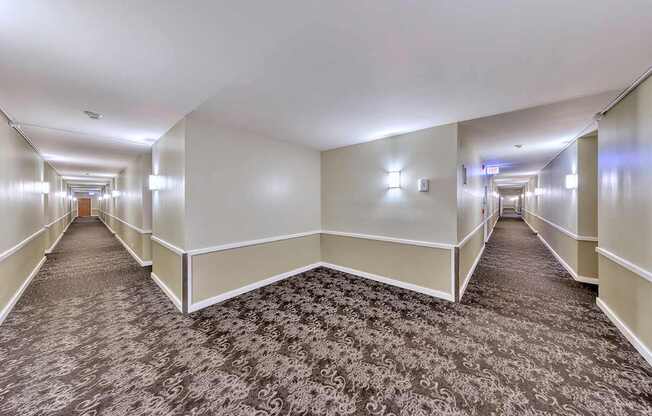 A long hallway with carpets