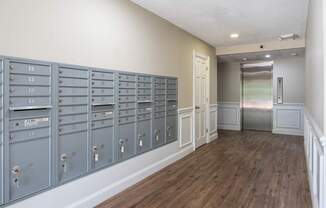 A row of mailboxes are lined up on a wall.