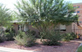 2001 &amp; 2007 W Berridge Ln