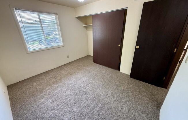 A room with a carpeted floor, a window with blinds, and two brown doors.